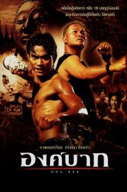 องค์บาก 1 (2003)