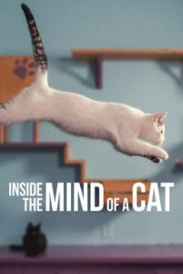 ดูหนังออนไลน์ฟรี Inside the Mind of a Cat (2022) คิดแบบแมวๆ