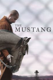 The Mustang (2019) เดอะ มัสแตง